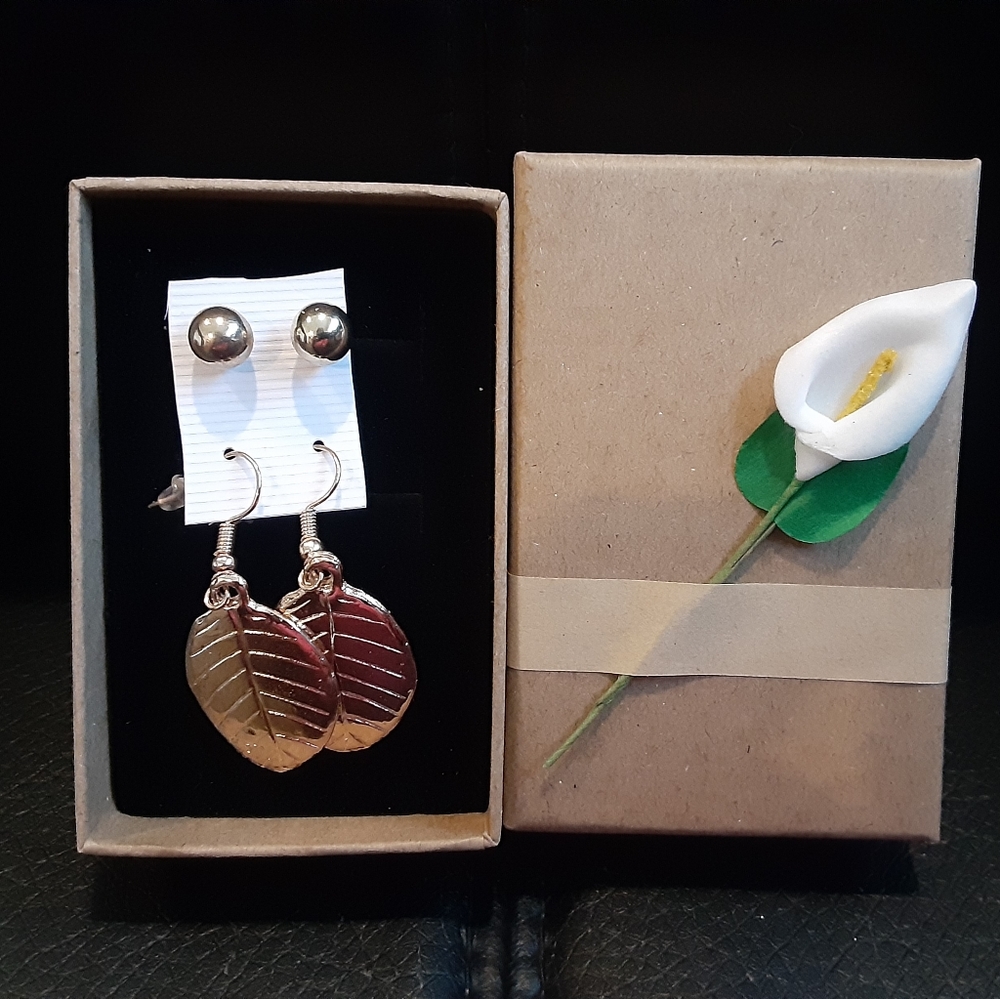 Earrings - must bundle. with a Box